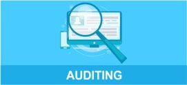 company auditing